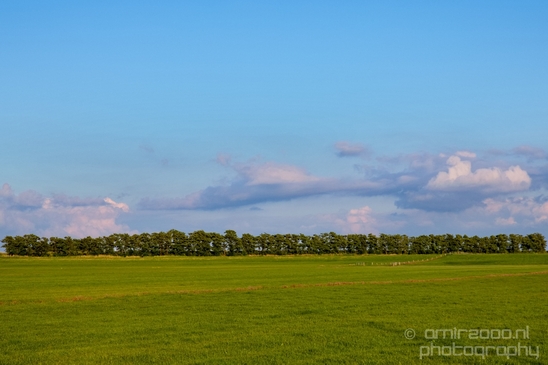Dutch_landscape_nederlandse_landschap_spring_lente_nature_Photography_058_Canon_EOS_5D_Mark_IV.JPG
