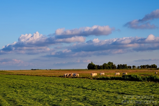 Dutch_landscape_nederlandse_landschap_spring_lente_nature_Photography_059_Canon_EOS_5D_Mark_IV.JPG