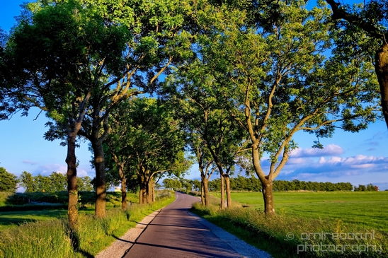 Dutch_landscape_nederlandse_landschap_spring_lente_nature_Photography_062_Canon_EOS_5D_Mark_IV.JPG