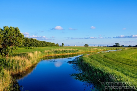 Dutch_landscape_nederlandse_landschap_spring_lente_nature_Photography_063_Canon_EOS_5D_Mark_IV.JPG