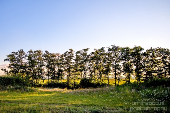 Dutch_landscape_nederlandse_landschap_spring_lente_nature_Photography_064_Canon_EOS_5D_Mark_IV.JPG