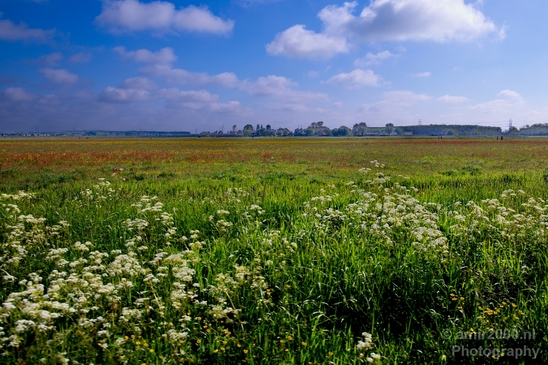 Dutch_landscape_nederlandse_landschap_spring_lente_nature_Photography_065_Canon_EOS_5D_Mark_IV.JPG
