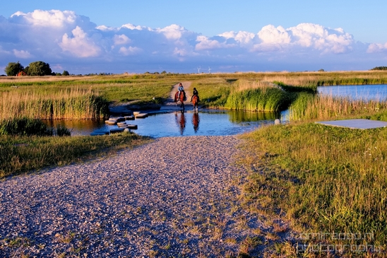 Dutch_landscape_nederlandse_landschap_spring_lente_nature_Photography_067_Canon_EOS_5D_Mark_IV.JPG