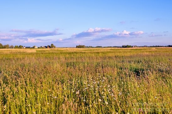 Dutch_landscape_nederlandse_landschap_spring_lente_nature_Photography_069_Canon_EOS_5D_Mark_IV.JPG