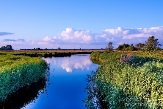 Dutch_landscape_nederlandse_landschap_spring_lente_nature_Photography_071_Canon_EOS_5D_Mark_IV.JPG
