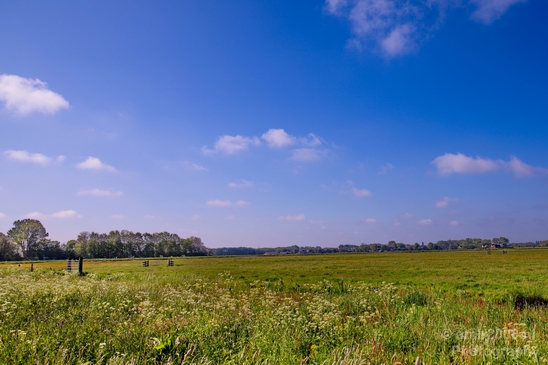 Dutch_landscape_nederlandse_landschap_spring_lente_nature_Photography_075_Canon_EOS_5D_Mark_IV.JPG