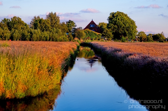 Dutch_landscape_nederlandse_landschap_spring_lente_nature_Photography_076_Canon_EOS_5D_Mark_IV.JPG