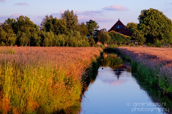 Dutch_landscape_nederlandse_landschap_spring_lente_nature_Photography_078_Canon_EOS_5D_Mark_IV.JPG