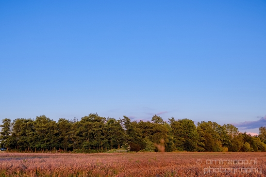 Dutch_landscape_nederlandse_landschap_spring_lente_nature_Photography_079_Canon_EOS_5D_Mark_IV.JPG