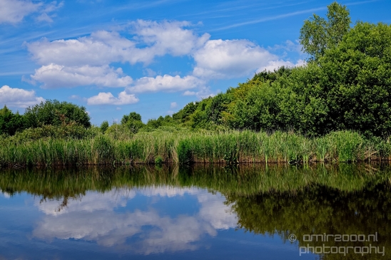 Dutch_landscape_nederlandse_landschap_spring_lente_nature_Photography_091_Canon_EOS_5D_Mark_IV.JPG