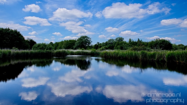 Dutch_landscape_nederlandse_landschap_spring_lente_nature_Photography_092_Canon_EOS_5D_Mark_IV.JPG