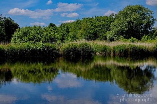 Dutch_landscape_nederlandse_landschap_spring_lente_nature_Photography_093_Canon_EOS_5D_Mark_IV.JPG