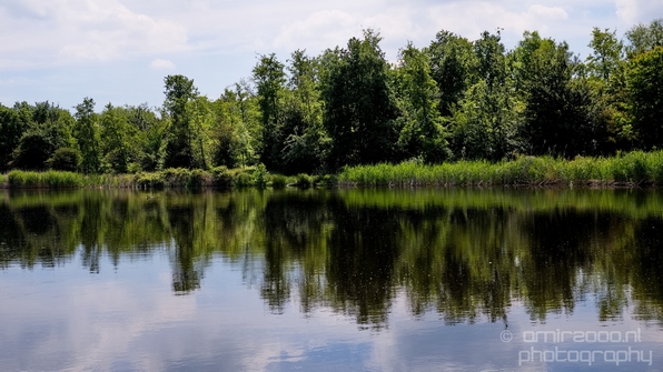 Dutch_landscape_nederlandse_landschap_spring_lente_nature_Photography_095_Canon_EOS_5D_Mark_IV.JPG