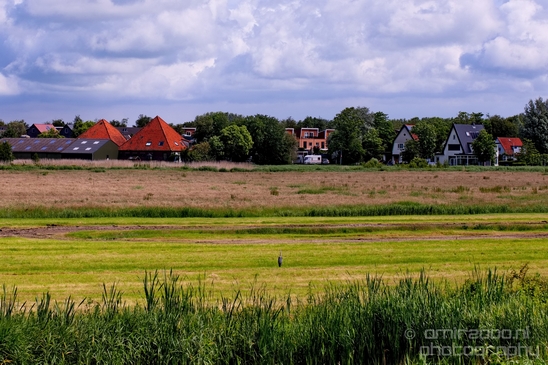 Dutch_landscape_nederlandse_landschap_spring_lente_nature_Photography_097_Canon_EOS_5D_Mark_IV.JPG