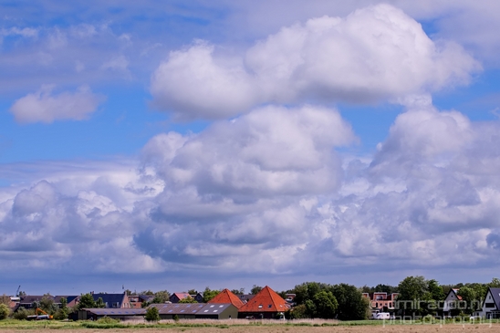 Dutch_landscape_nederlandse_landschap_spring_lente_nature_Photography_099_Canon_EOS_5D_Mark_IV.JPG