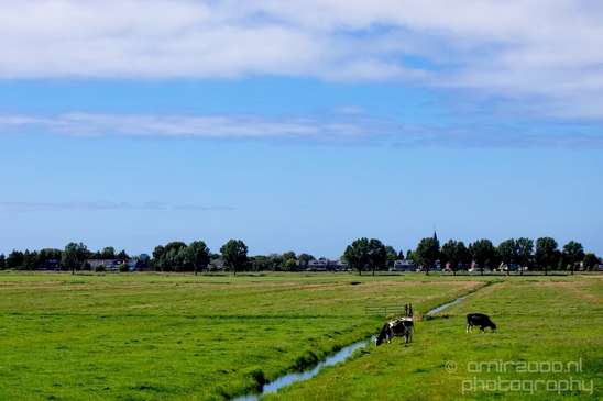 Dutch_landscape_nederlandse_landschap_spring_lente_nature_Photography_103_Canon_EOS_5D_Mark_IV.JPG