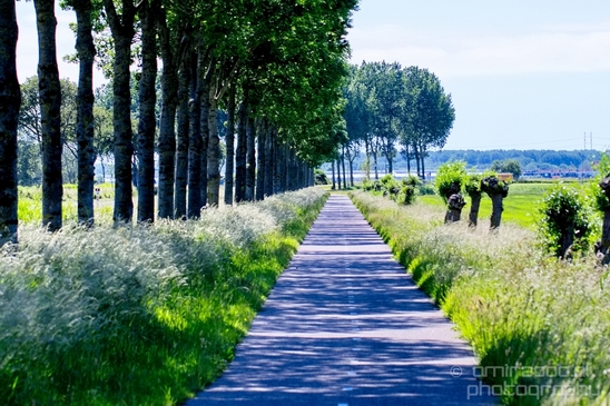 Dutch_landscape_nederlandse_landschap_spring_lente_nature_Photography_104_Canon_EOS_5D_Mark_IV.JPG
