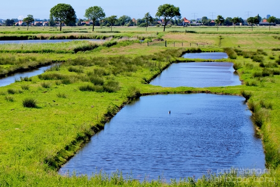 Dutch_landscape_nederlandse_landschap_spring_lente_nature_Photography_106_Canon_EOS_5D_Mark_IV.JPG