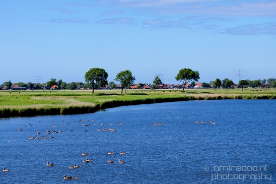 Dutch_landscape_nederlandse_landschap_spring_lente_nature_Photography_107_Canon_EOS_5D_Mark_IV.JPG