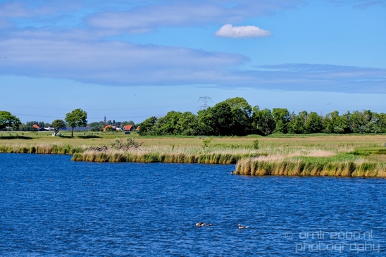 Dutch_landscape_nederlandse_landschap_spring_lente_nature_Photography_109_Canon_EOS_5D_Mark_IV.JPG