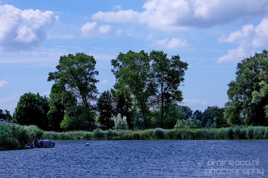 Dutch_landscape_nederlandse_landschap_spring_lente_nature_Photography_115_Canon_EOS_5D_Mark_IV.JPG