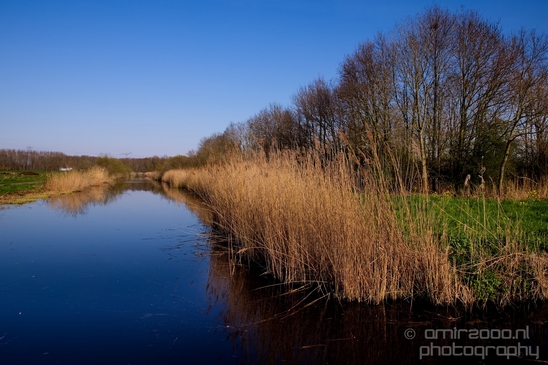 Dutch_landscape_nederlandse_landschap_spring_lente_nature_Photography_116_Canon_EOS_5D_Mark_IV.JPG