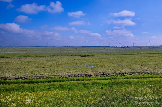 Dutch_landscape_nederlandse_landschap_spring_lente_nature_Photography_120_Canon_EOS_5D_Mark_IV.JPG