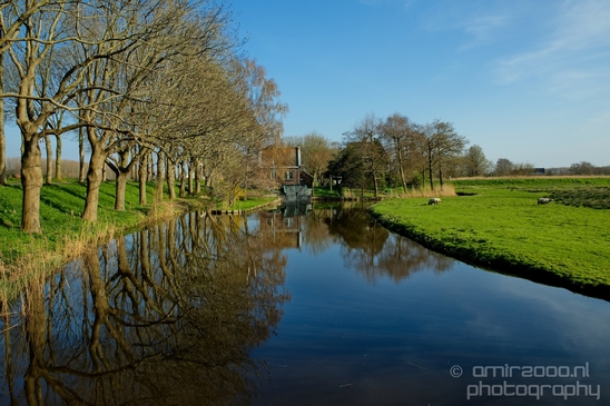Dutch_landscape_nederlandse_landschap_spring_lente_nature_Photography_121_Canon_EOS_5D_Mark_IV.JPG
