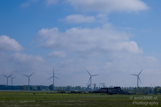 Dutch_landscape_nederlandse_landschap_spring_lente_nature_Photography_131_Canon_EOS_5D_Mark_IV.JPG