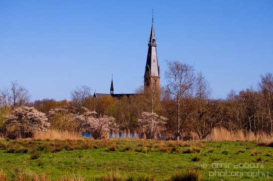 Dutch_landscape_nederlandse_landschap_spring_lente_nature_Photography_132_Canon_EOS_5D_Mark_IV.JPG