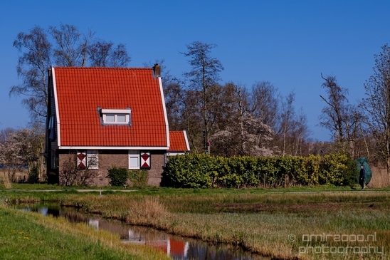 Dutch_landscape_nederlandse_landschap_spring_lente_nature_Photography_133_Canon_EOS_5D_Mark_IV.JPG