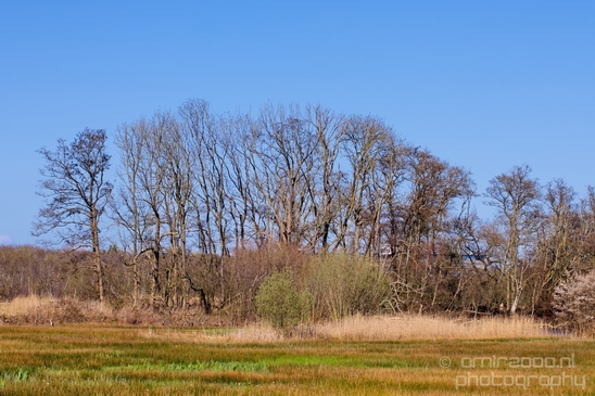 Dutch_landscape_nederlandse_landschap_spring_lente_nature_Photography_134_Canon_EOS_5D_Mark_IV.JPG