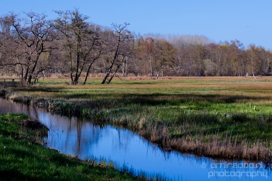 Dutch_landscape_nederlandse_landschap_spring_lente_nature_Photography_135_Canon_EOS_5D_Mark_IV.JPG