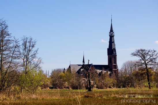 Dutch_landscape_nederlandse_landschap_spring_lente_nature_Photography_138_Canon_EOS_5D_Mark_IV.JPG