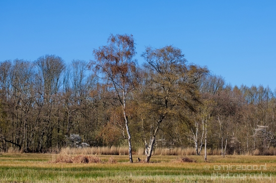 Dutch_landscape_nederlandse_landschap_spring_lente_nature_Photography_139_Canon_EOS_5D_Mark_IV.JPG