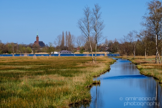 Dutch_landscape_nederlandse_landschap_spring_lente_nature_Photography_140_Canon_EOS_5D_Mark_IV.JPG