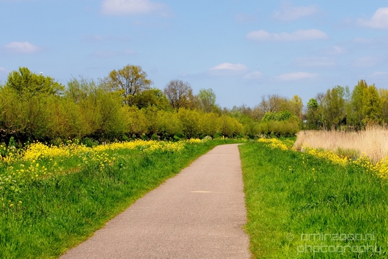 Dutch_landscape_nederlandse_landschap_spring_lente_nature_Photography_146_Canon_EOS_5D_Mark_IV.JPG