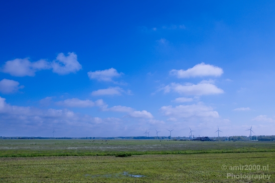 Dutch_landscape_nederlandse_landschap_spring_lente_nature_Photography_153_Canon_EOS_5D_Mark_IV.JPG