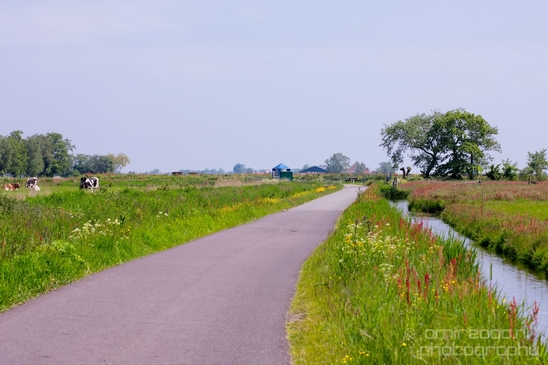 Dutch_landscape_nederlandse_landschap_spring_lente_nature_Photography_159_Canon_EOS_5D_Mark_IV.JPG