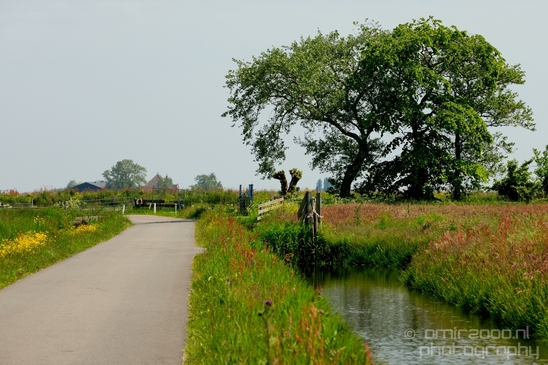 Dutch_landscape_nederlandse_landschap_spring_lente_nature_Photography_163_Canon_EOS_5D_Mark_IV.JPG