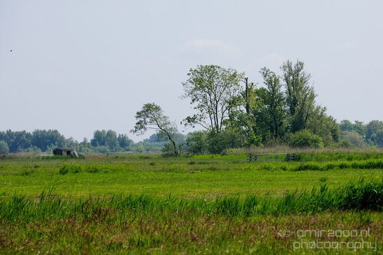 Dutch_landscape_nederlandse_landschap_spring_lente_nature_Photography_167_Canon_EOS_5D_Mark_IV.JPG