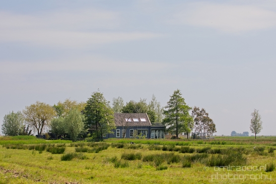 Dutch_landscape_nederlandse_landschap_spring_lente_nature_Photography_168_Canon_EOS_5D_Mark_IV.JPG