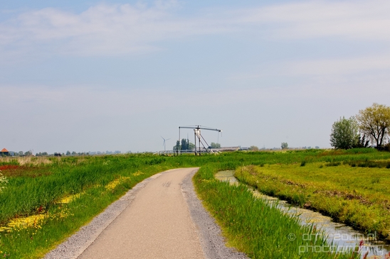 Dutch_landscape_nederlandse_landschap_spring_lente_nature_Photography_169_Canon_EOS_5D_Mark_IV.JPG