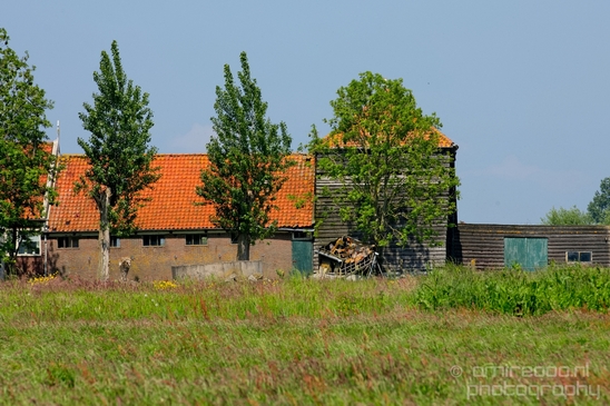 Dutch_landscape_nederlandse_landschap_spring_lente_nature_Photography_173_Canon_EOS_5D_Mark_IV.JPG