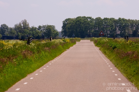 Dutch_landscape_nederlandse_landschap_spring_lente_nature_Photography_177_Canon_EOS_5D_Mark_IV.JPG