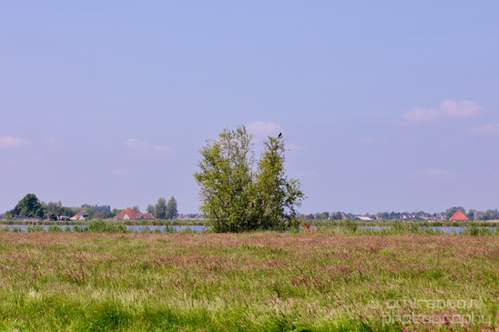Dutch_landscape_nederlandse_landschap_spring_lente_nature_Photography_178_Canon_EOS_5D_Mark_IV.JPG