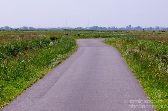 Dutch_landscape_nederlandse_landschap_spring_lente_nature_Photography_181_Canon_EOS_5D_Mark_IV.JPG