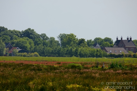 Dutch_landscape_nederlandse_landschap_spring_lente_nature_Photography_187_Canon_EOS_5D_Mark_IV.JPG