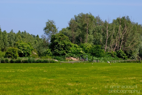 Dutch_landscape_nederlandse_landschap_spring_lente_nature_Photography_188_Canon_EOS_5D_Mark_IV.JPG