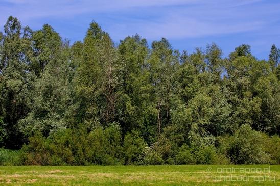 Dutch_landscape_nederlandse_landschap_spring_lente_nature_Photography_189_Canon_EOS_5D_Mark_IV.JPG
